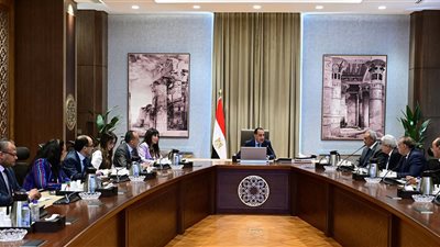 رئيس الوزراء يلتقي أعضاء اللجنة الاستشارية للشئون السياسية