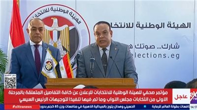 رئيس الهيئة الوطنية للانتخابات: نزاهة الانتخابات فوق كل اعتبار وإلغاء أي مخالفة