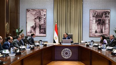 مدبولي يطلع على أداء الاقتصاد وجذب الاستثمارات مع وزير المالية