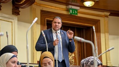 محمد إسماعيل: التشريع ليس فقط مراقبة القوانين أو تعديل مشروعاتها