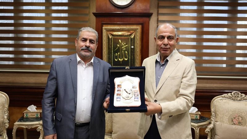 محافظ المنيا 