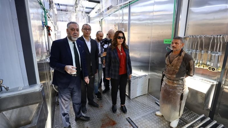 وزيرة التنمية المحلية