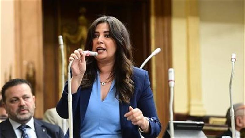 النائبة أميرة العادلي