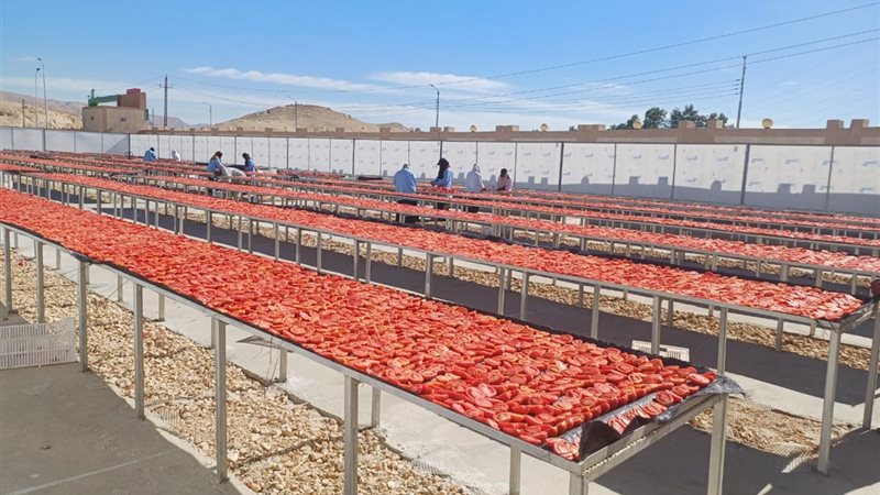 مشروع الصناعات الغذائية