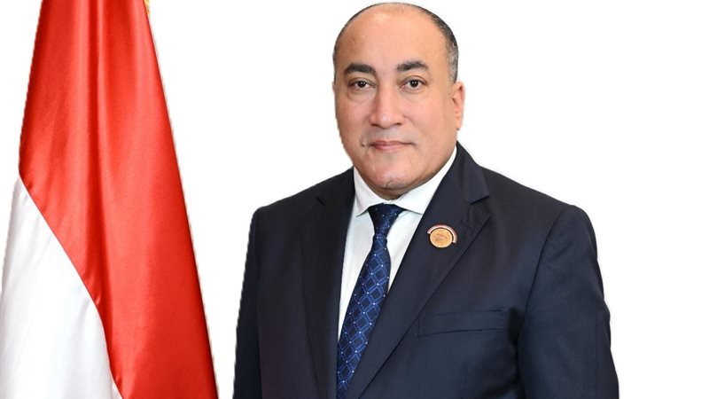 المهندس عمرو رشاد