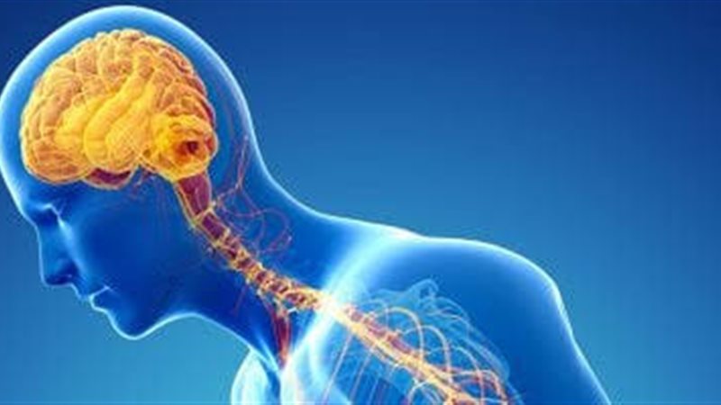 الجهاز العصبي