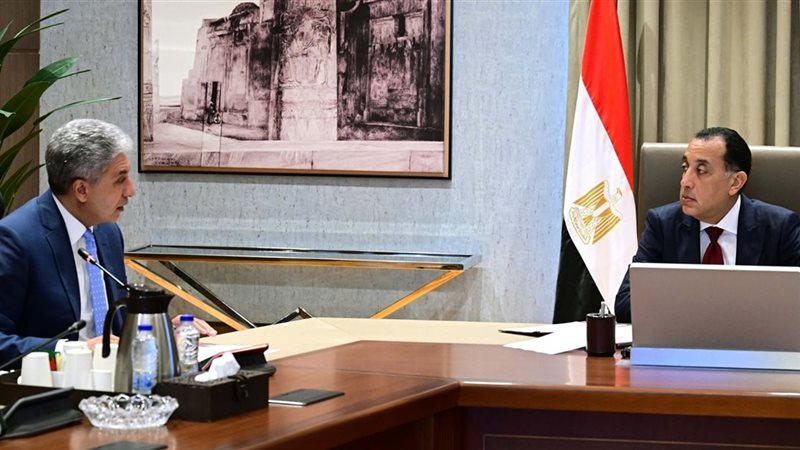 مصطفى مدبولي ووزير