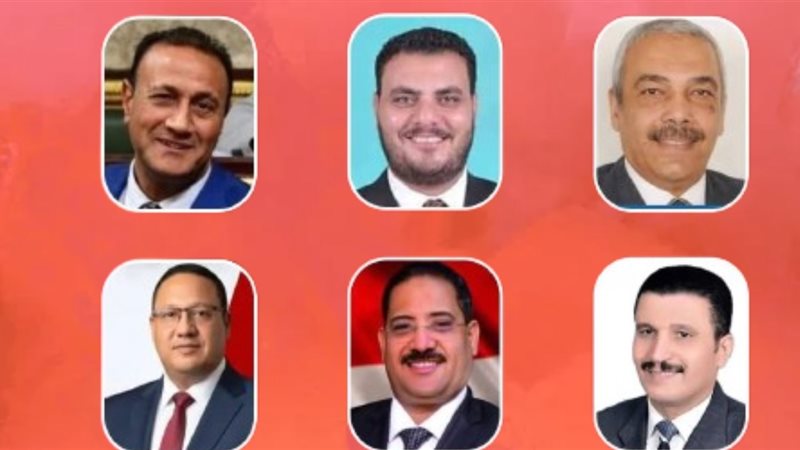 مرشحين المنيا 