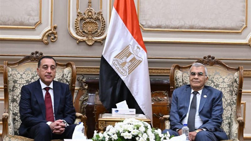 المستشار عصام فريد