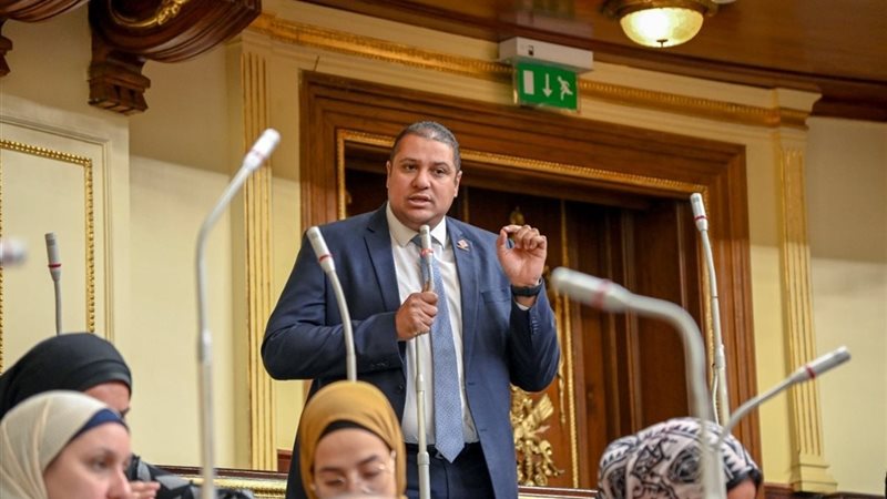 النائب محمد إسماعيل