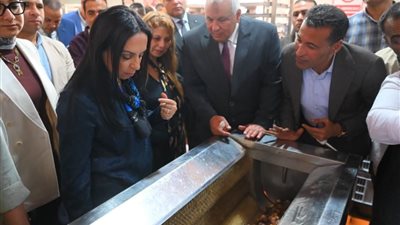 التضامن تستصلح 5 آلاف فدان لزراعة النخيل في الوادي الجديد 