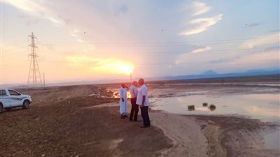 وزير الري يؤكد: منشآت الحماية بحالة جيدة وجاهزة لاستقبال مياه السيول والأمطار