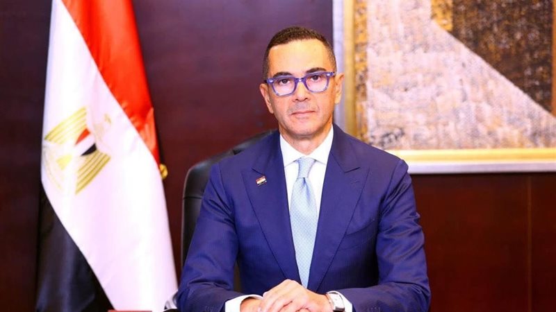 وزير الاستثمار