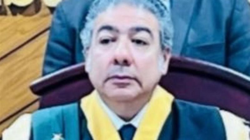 المستشار سامح عبدالحكم