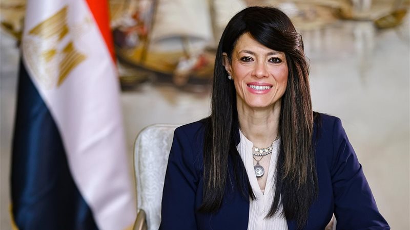 وزيرة التخطيط