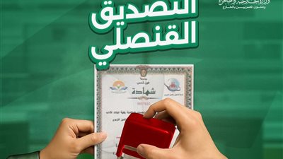 خدمة التصديق القنصلي من البريد المصري.. خطوة جديدة لتسهيل حياة المواطنين