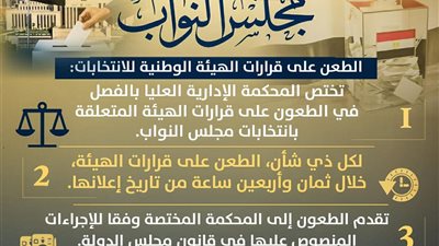 ماذا بعد فرز الأصوات؟.. انفوجراف يوضح تفاصيل الطعن على قرارات الهيئة الوطنية للانتخابات 
