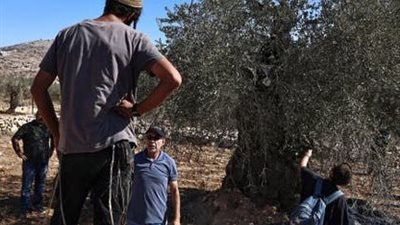 أوروبا تضغط على إسرائيل: إدانة لعنف المستوطنين ومطالبة بحماية الفلسطينيين في الضفة الغربية