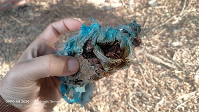 سحر “الرنجة”.. ماذا حدث في مقابر بنها؟.. مغامرة خاصة لـ تفصيلة