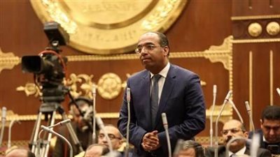 عضو بالشيوخ: إلغاء 70% من نتائج الدوائر يثبت نزاهة الانتخابات