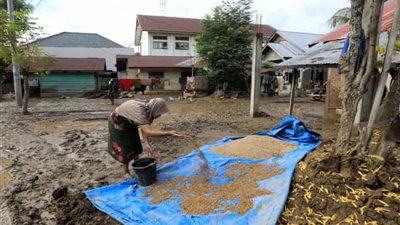 كارثة سومطرة تتفاقم: ارتفاع قتلى فيضانات إندونيسيا لأكثر من 750 ومليون مُهَجَّر في ساعات