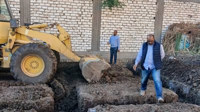 محافظ المنيا: إزالة 2171 تعديا على الزراعة وأملاك الدولة ضمن الموجة 27