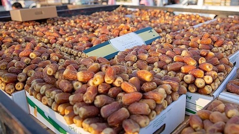 التمور المصرية 