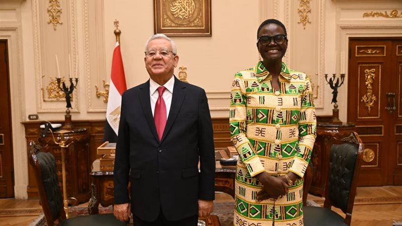 المستشار حنفي جبالي