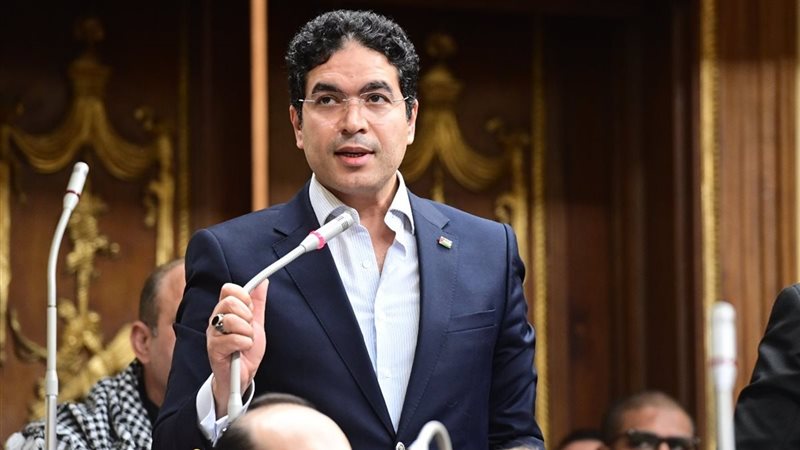 النائب ضياء الدين