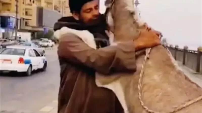 رقصة «سلو» على كورنيش