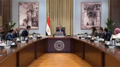 رئيس الوزراء يستعرض المخطط الهيكلي والرؤية التنموية لمنطقة غرب رأس الحكمة