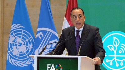 الوزراء: مصر تؤكد التزامها الكامل بتعزيز التعاون مع منظمة 