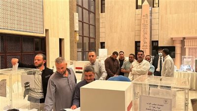إقبال مصري واسع بالسعودية للتصويت في دوائر النواب الملغاة