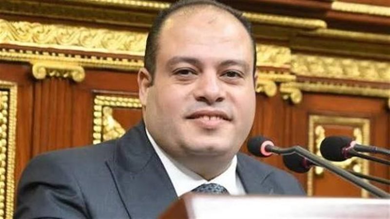 النائب هاني خضر 