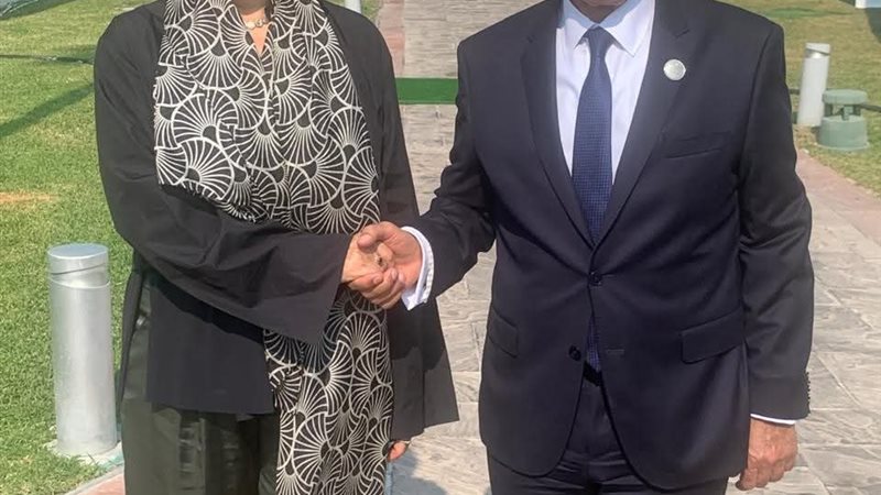 وزير الخارجية 