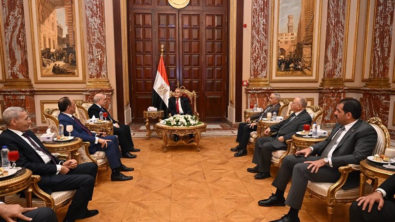 المستشار عصام فريد