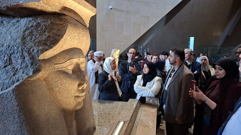 المجلس التنفيذي للمنظمة