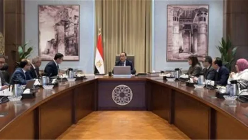 مجلس الوزراء 