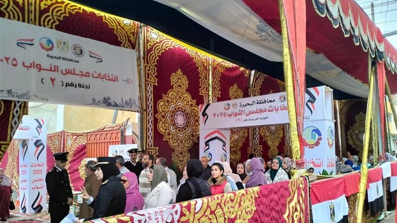 انتخابات النواب