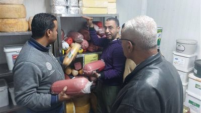 ضبط 697 كجم لحوم وأسماك فاسدة خلال حملات بيطرية بالمنيا