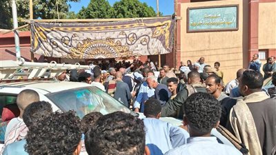 برلمان 2025.. إقبال كثيف بلجنة السباعية غرب إدفو ( صور)