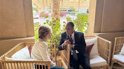 وزير الخارجية يبحث مع مستشارة الرئيس الفرنسي تعزيز الشراكة وتطورات قضايا المنطقة