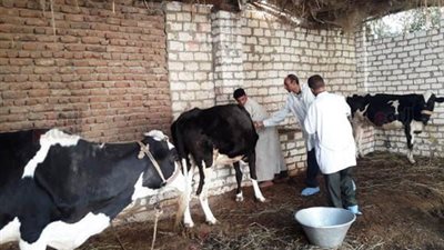 حملة قومية لحماية الثروة الحيوانية.. 