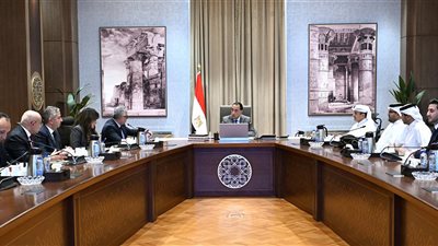 أول مصنع لوقود الطائرات من الزيوت المستعملة.. مشروع قطري جديد في مصر باستثمارات 200 مليون دولار