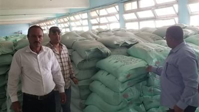 المنيا.. تحرير 3541 مخالفة تموينية خلال شهر نوفمبر الماضي