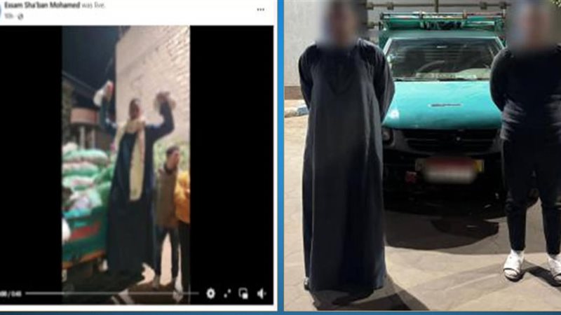 سيارة المواد الغذائية