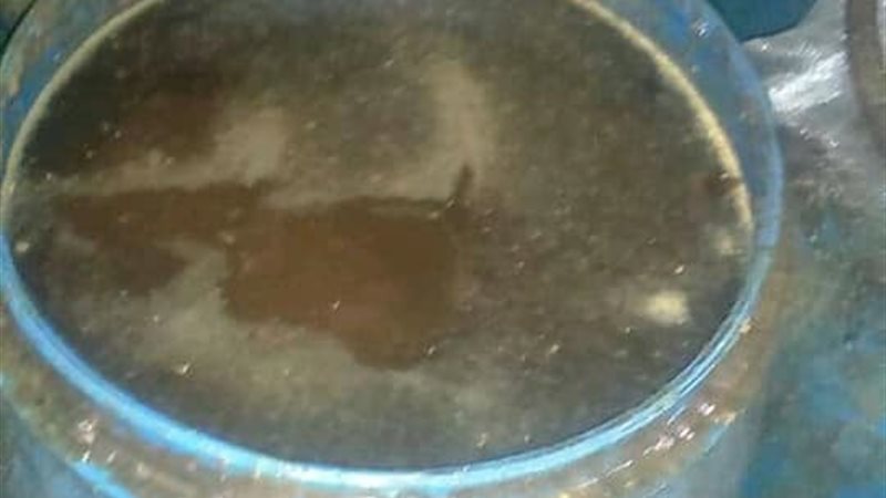 زيت طعام مستعمل 