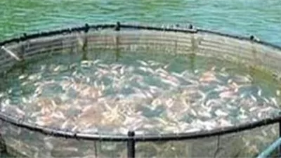 تنمية الثروة السمكية في مطروح.. جهاز حماية البحيرات يدعم نشر ثقافة الاستزراع