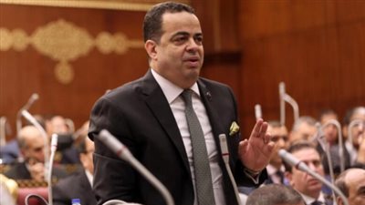 نائب بالشيوخ: تشديد عقوبة سرقة الكهرباء لا يحقق الردع دائما