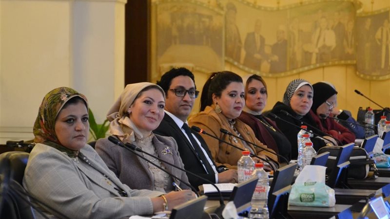 جانب من الاستقبال